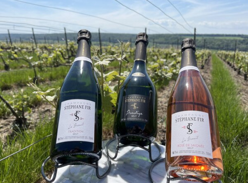 Champagne Stéphane Fir - Champagne Prestige - Rosée De Saignée - Brut - 3 X 75 Cl