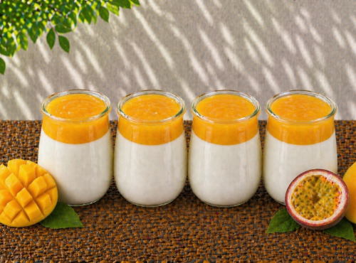 Gaec de l'Elanion - Yaourt Mangue Passion x4