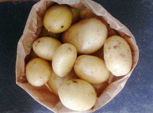 Ferme de Carcouet - Pommes de Terre Nouvelles Bio - 1 kg