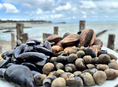 Saint Kerber - Cancale - Mix de la mer 3kgs - Moules STG/Amandes/Bigorneaux
