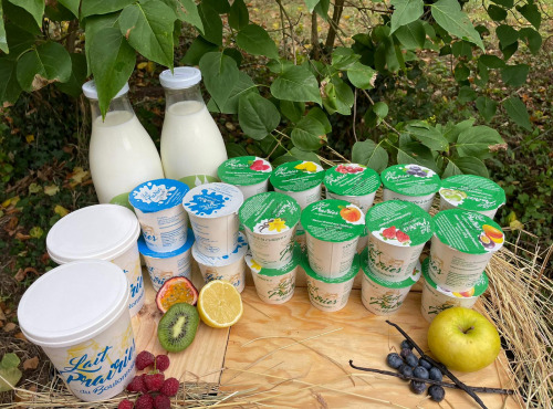 Lait Prairies du Boulonnais - Offre Dégustation : Yaourts, Fromage Blanc et Lait