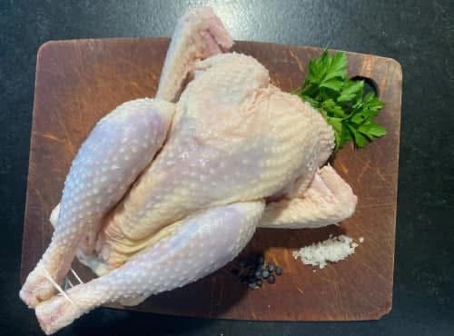 Des Poules et des Vignes à Bourgueil - Poules à mijoter (x10)