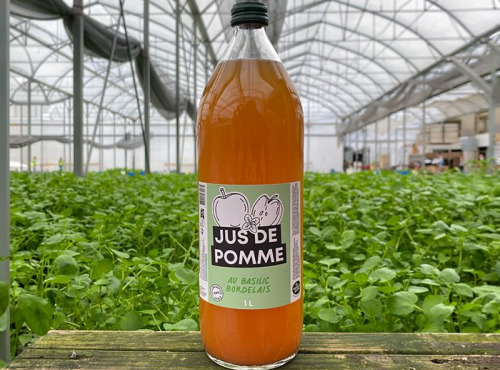 Les Nouvelles Fermes - Jus de pomme au basilic (1L)
