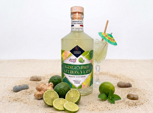 La Fabrique à Alcools / Distillerie Chevreuse - Rhum l'Arrangé Gingembre Citron Vert - 70cl