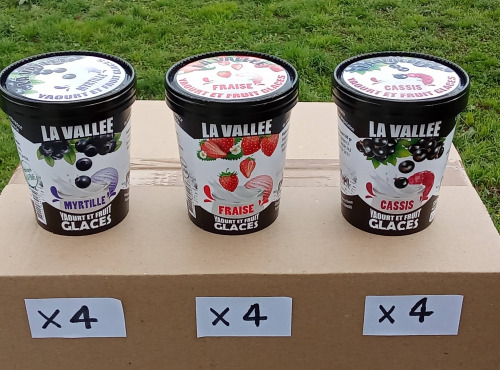 Les Glaces de la Vallée - Maxi Coffret glaces Yaourt et Fruits "la Vallée" 12x500ml
