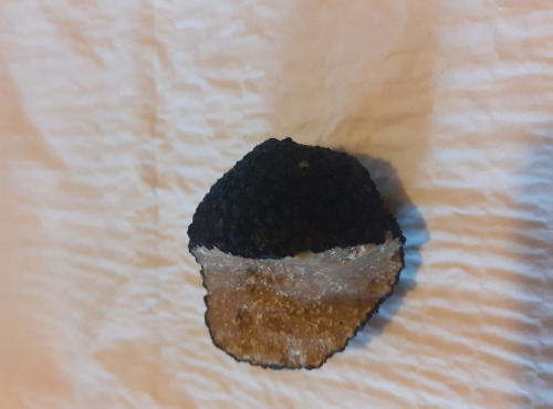 Les Vergers de la Vautée - Truffe de Bourgogne Fraîche