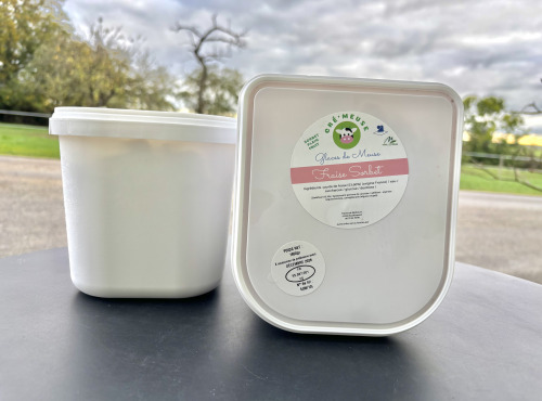 Glaces de Meuse - Bac Sorbet PF Fraise - 2.5L