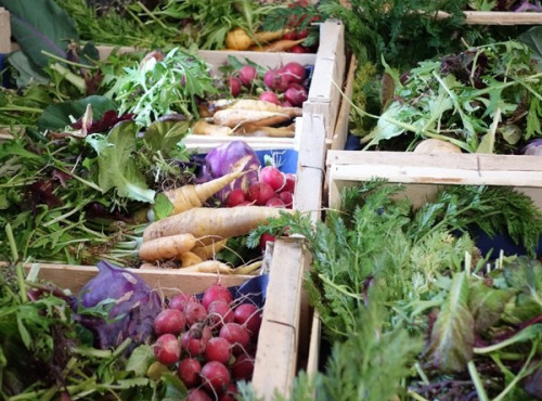 Aux Jardins des Colibris - Panier de légumes Bio "Printemps gourmand"