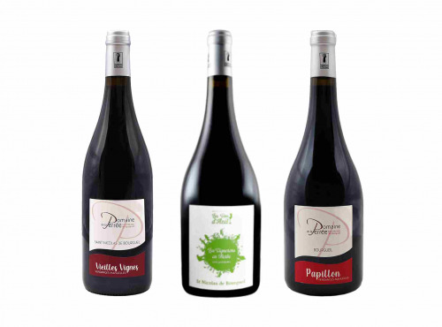 Domaine de la Perrée - AOC Saint Nicolas de Bourgueil - Coffret Reflets Rouges 3 Bouteilles