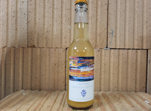 ChâteauFer - Kombucha Gingembre 33cl