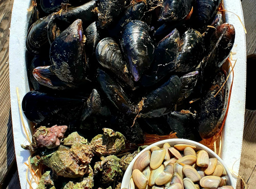 Camargue Coquillages - Plateau Coquillages De Camargue - Spécial Apéritif