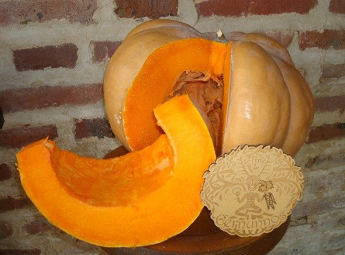 Ferme de Cernunnos - Musquée de Provence Bio - 6 à 8 kg