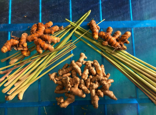 La Boite à Herbes - Le Panier Thaï