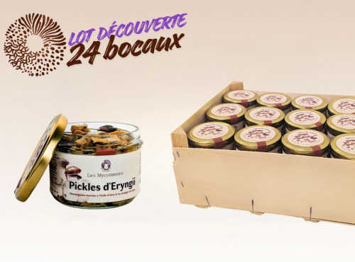Les Myconautes - Lot 24 bocaux Pickles de pleurotes eryngii
