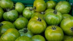 Des Poules et des Vignes à Bourgueil - Tomates vertes