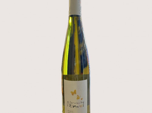 Maison Schmid - Riesling 2024 - Domaine de l'Envol