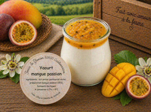 Gaec de l'Elanion - Yaourt Mangue Passion 125g