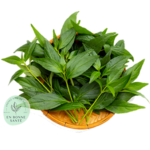 Elissalde Le Potager Basque - Infusion ANDROGRAPHIS – Chirette verte 50g – Andrographis Paniculata