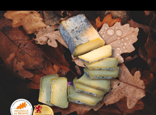 GAEC Les Perce-neige - Brique d'espierre 500g