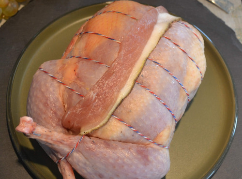 Terre de Gallie - "SPECIAL FETES" FAISAN FARCI MALOUIN