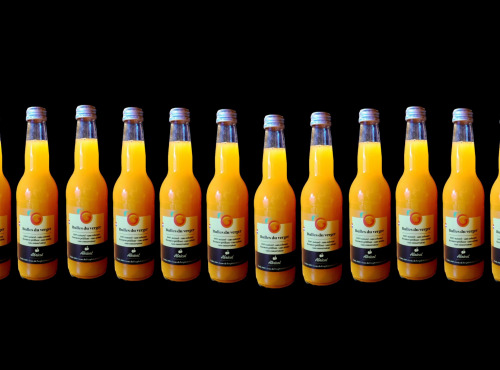 Gobert, l'abricot de 4 générations - Bulles du verger - pétillant abricot (24x33cl)