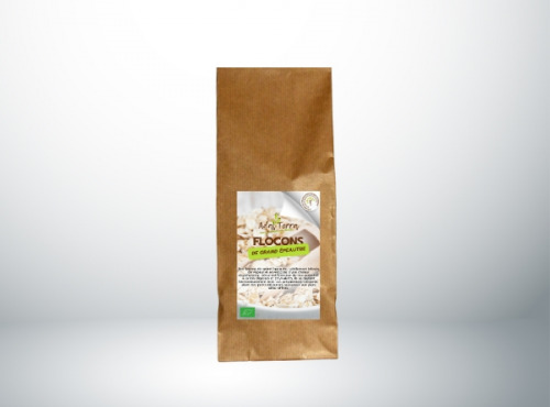 Adal Terra - Céréales - Flocons de Grand Epeautre Biodynamique 500G