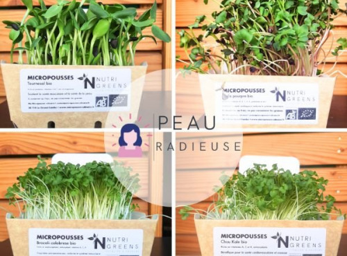 Ma Micropousse culinaire - Micro pousses Pack Peau radieuse (tournesol, radis, brocoli, kale) 4 barquettes