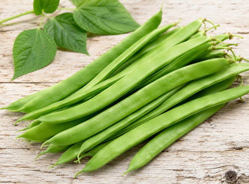 Nature et Saveurs - Ferme Aquaponique et Permacole Astérienne - Haricot plat mangetout vert — jeunes gousses < 1,5 cm