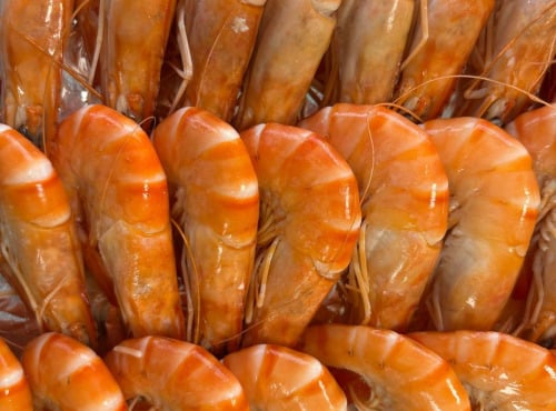 L'atelier des poissonniers - Gambas Bio Madagascar OSO (40 à 60 pièces au kilo)