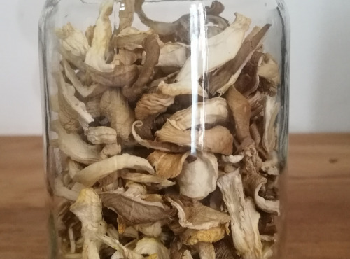 Champignons Bio du Sud Ouest - Pleurote Marron Déshydratée