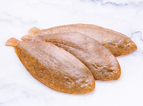Poissonnerie La Piriacaise - Sole Blonde 500g
