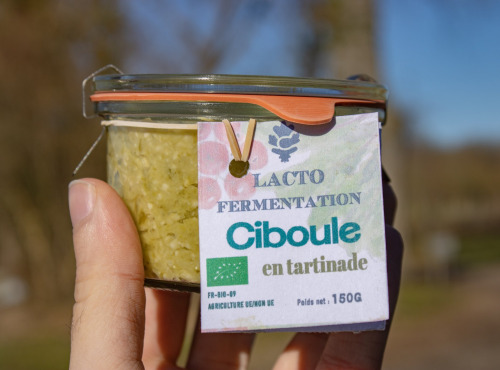 ChâteauFer - Lacto de ciboule en tartinade