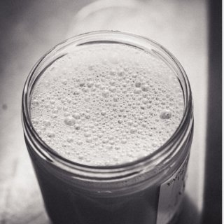 La Ferme d'Alcas - [Précommande] LOT DE 10 YAOURT VARIES