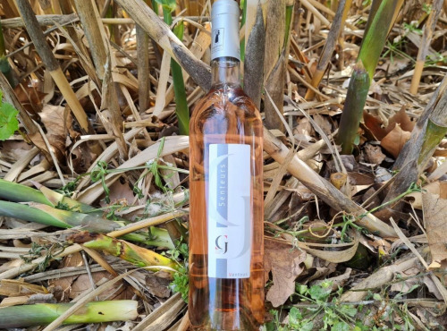 Domaine Girod - AOP Ventoux Vin Rosé 2022