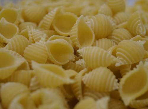 Lioravi, l'authentique pâte fraîche ! - [Précommande] Colis de Pâtes Bio Conchiglie 3x250g