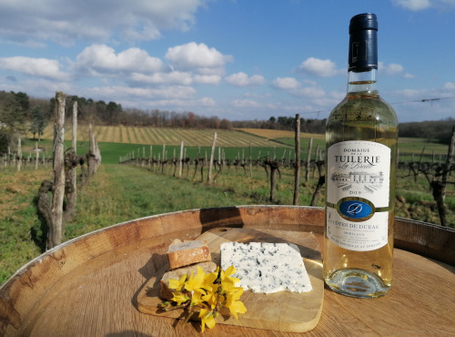 Domaine de la Tuilerie - AOP Côtes de Duras - Blanc Moelleux 2019-Domaine de La Tuilerie Labreille-1 x75 cl