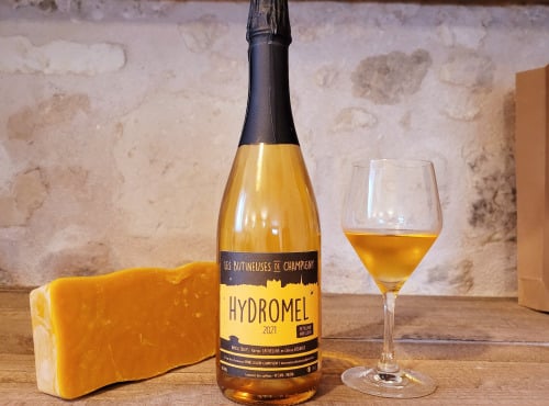 Les Butineuses de Champigny - Hydromel Moelleux Pétillant - 75cl