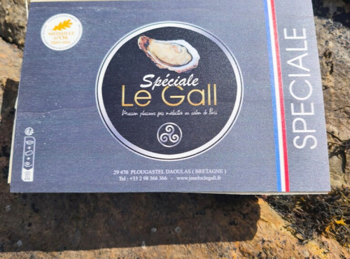 Jean Luc Le Gall Huîtres et Coquillages - Huitres Creuses SPECIALE LE GALL N°3 X 48