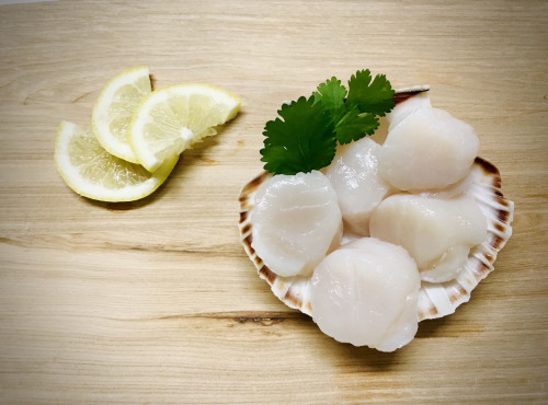 Mer Sea - Noix De Saint Jacques Blanche 1 Kg