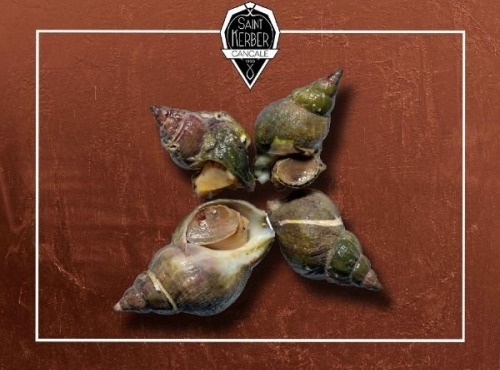 Saint Kerber - Bulots cuits au piment d'espelette - 3 kg