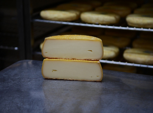 Alléosse Maitre Artisan Affineur Fromager - Lou Bren Artisanal pur brebis du Larzac (entier)