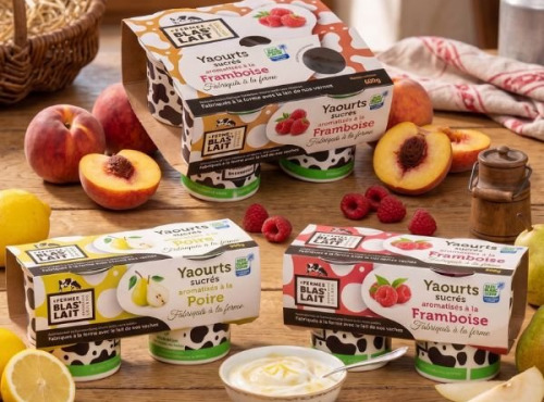 La Ferme de Blas'Lait - Lot 12 Yaourts Aromatisés Pêche Framboise Poire