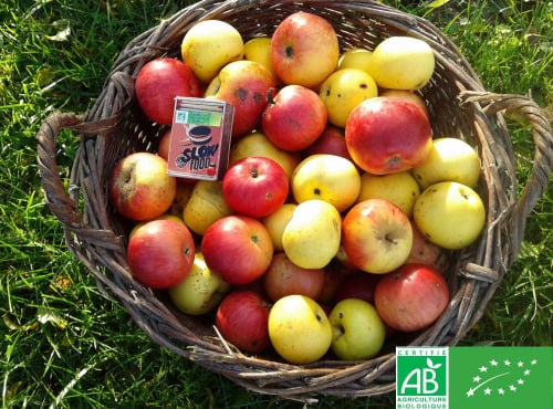 LES JARDINS DE KARINE - Petites POMMES à jus - 10kg