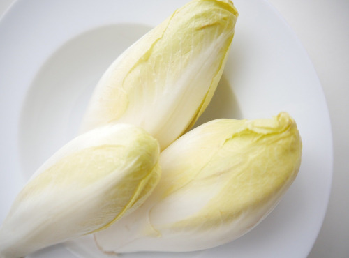 Le Châtaignier - Endives - 1 Kg