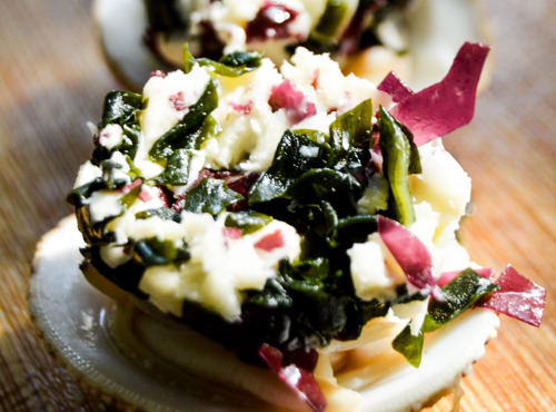 Algolesko - Algue Dulse Bio 250g