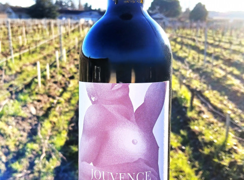 Château Jouvente - Jouvence 2019, Graves Rouge (x3 bouteilles)