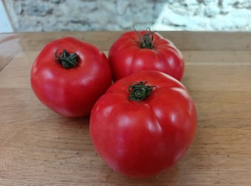 Aux Jardins des Colibris - 1 kg Tomates rondes Bio