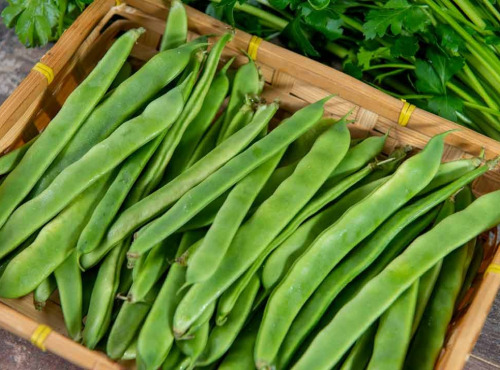 Les Jardins de Gérard - Haricot plat mange tout bio