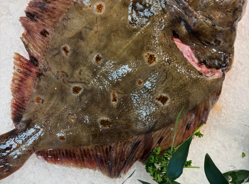 L'atelier des poissonniers - Carrelet