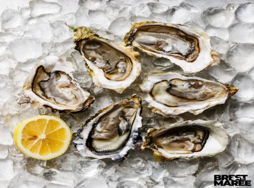 Brest Marée - Huîtres Creuses N°3 de Paimpol - bourriche de 24 pièces